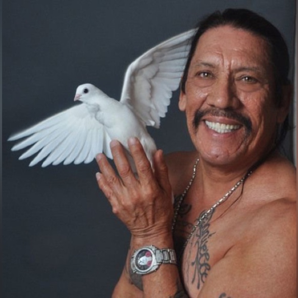 Meet your Posher, Matilda